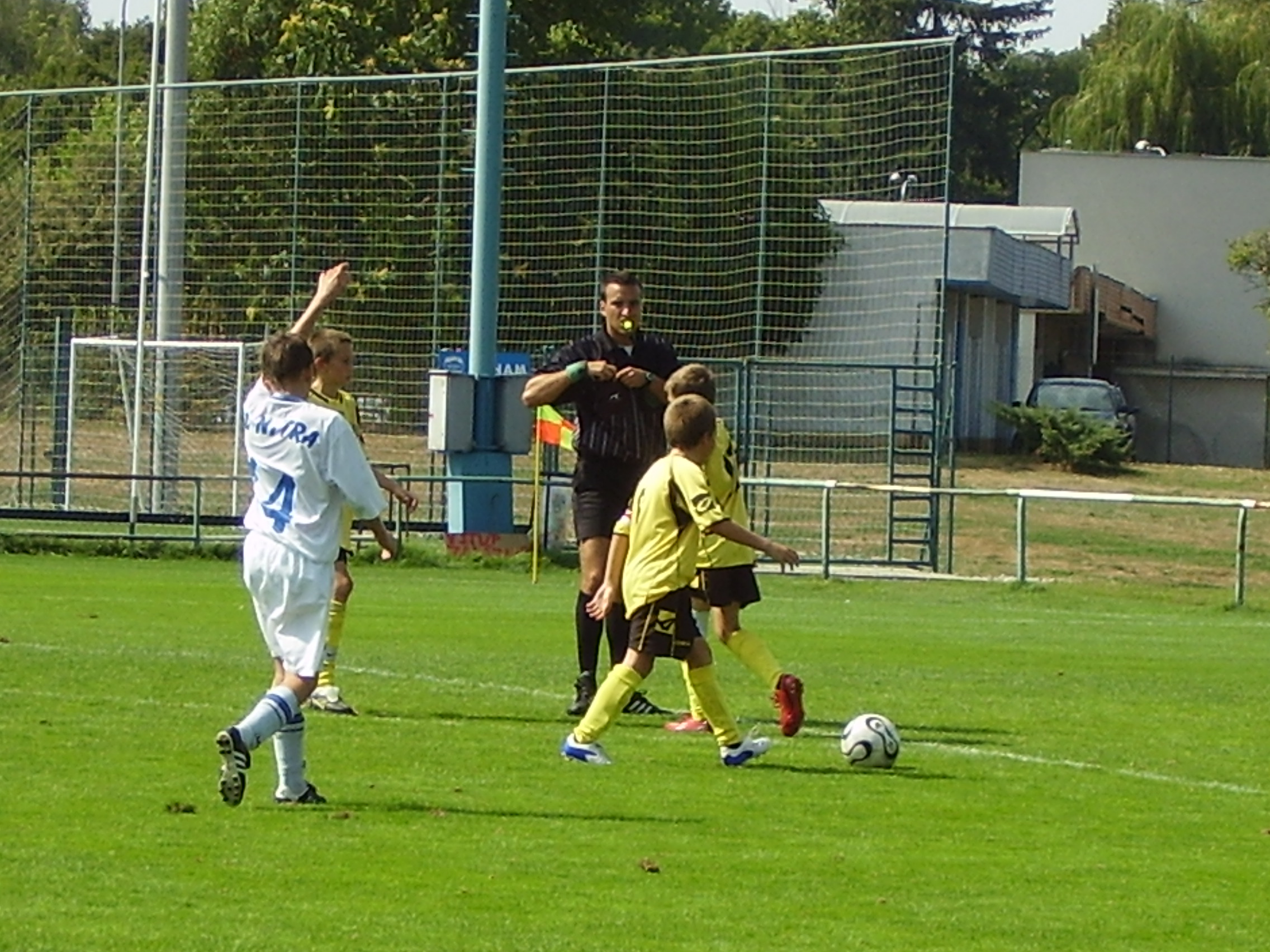 P6200032.JPG